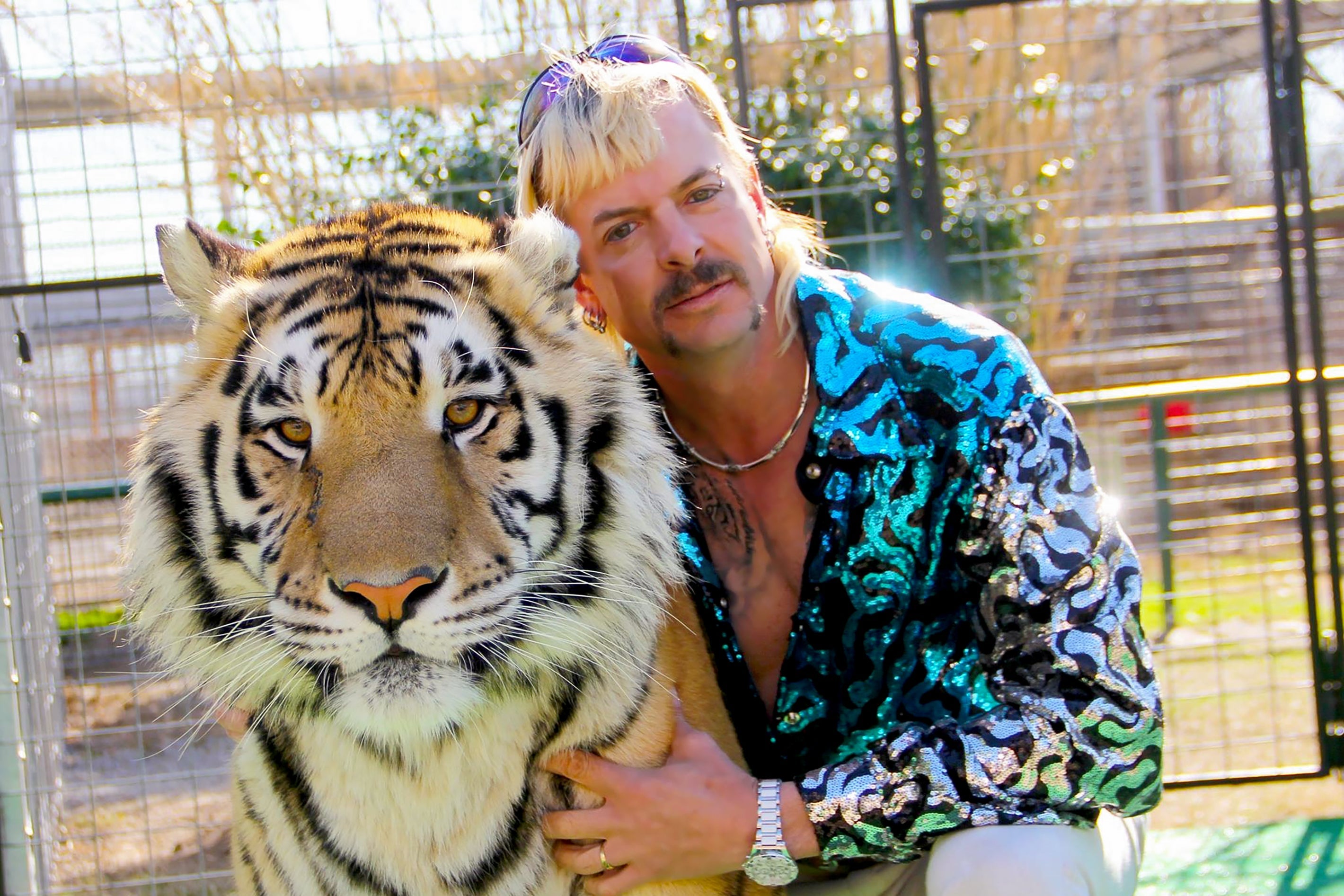 The Tiger King kneels with his arm around the tiger, his wearing a sparkly buttoned-down, tiger-print shirt, bleach-blonde hair, a handlebar mustache, and purple sunglasses up on his forehead. The tiger sits unfazed.