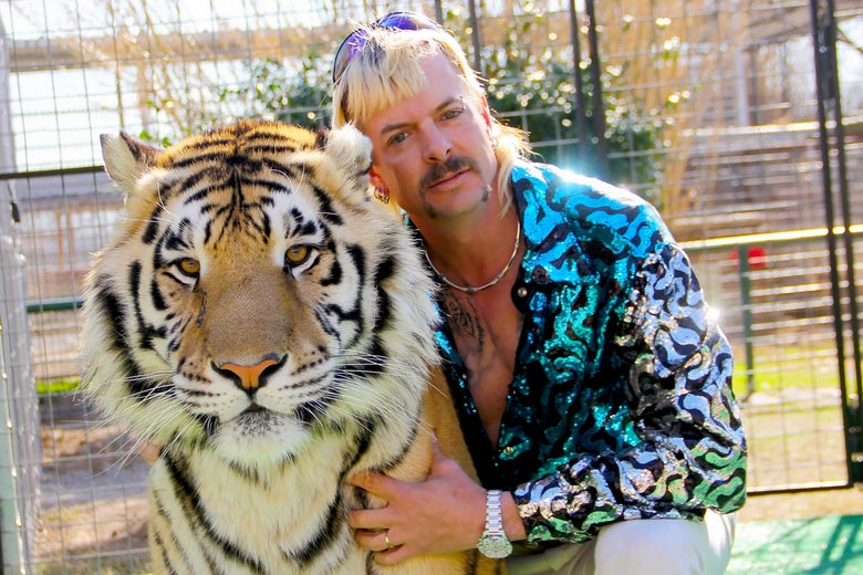 The Tiger King kneels with his arm around the tiger, his wearing a sparkly buttoned-down, tiger-print shirt, bleach-blonde hair, a handlebar mustache, and purple sunglasses up on his forehead. The tiger sits unfazed.