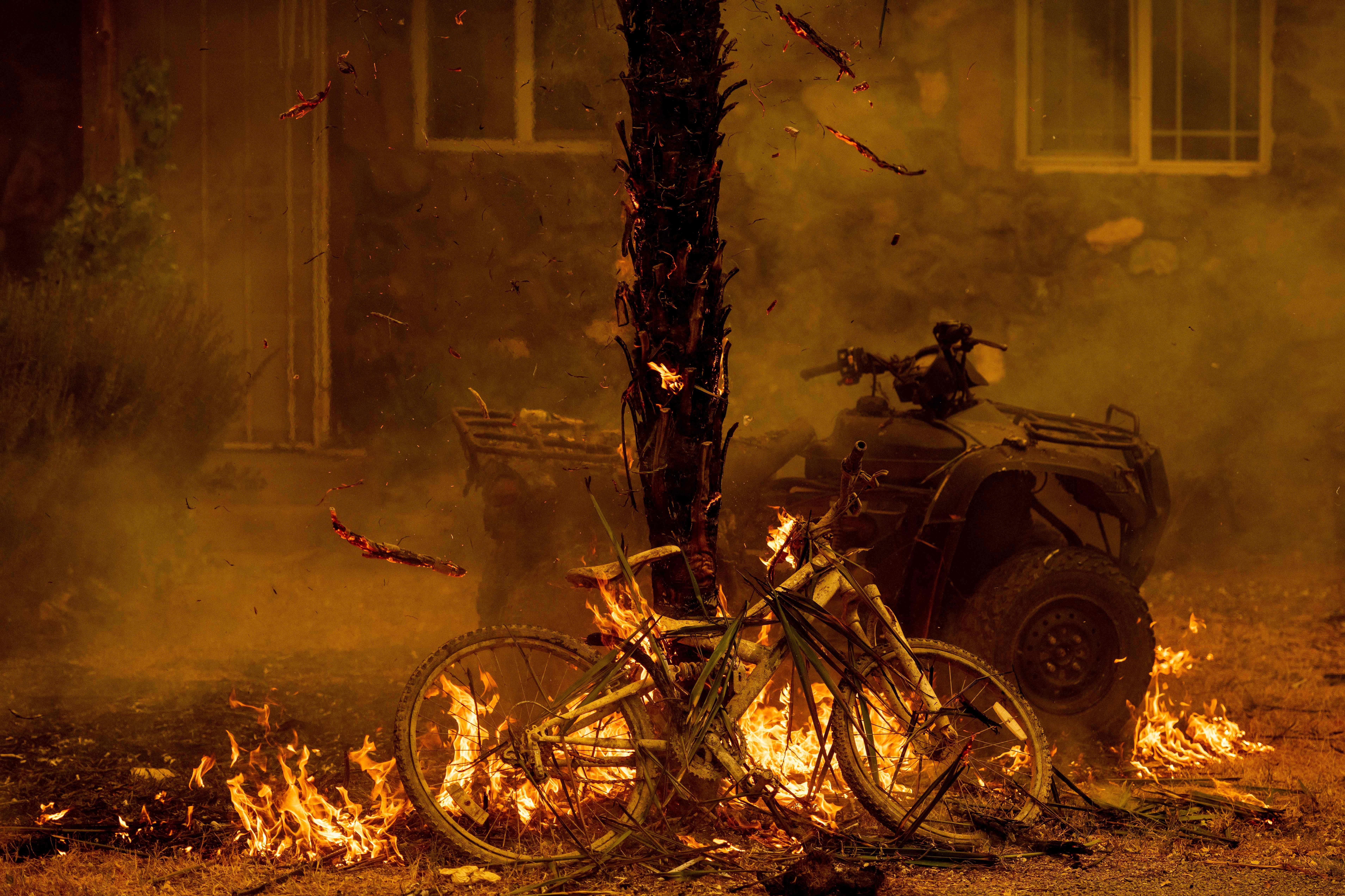 A bicycle and palm tree burn outside of a house.