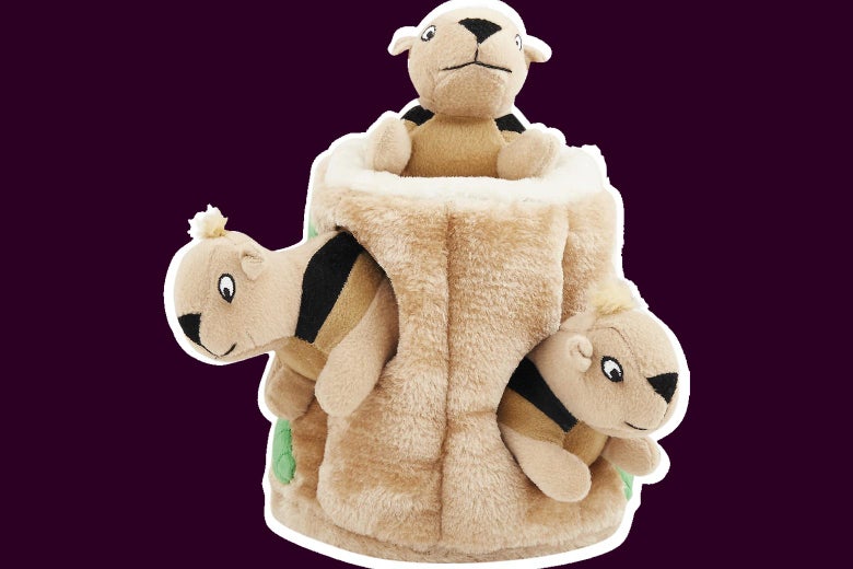 Keep Your Dog Entertained With This Plush Tree Full of Squirrels, Now on Sale Keep Your Dog Entertained With This Plush Tree Full of Squirrels, Now on Sale