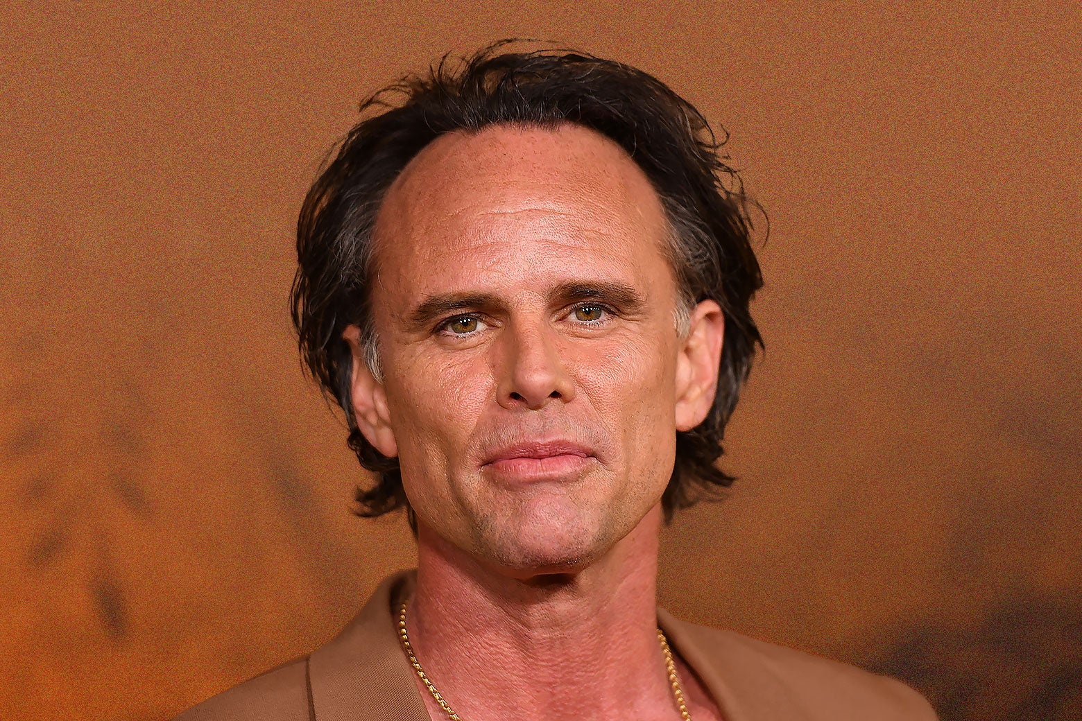 young walton goggins - Ilustrasi 2