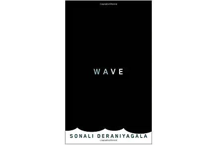 Wave book cover.