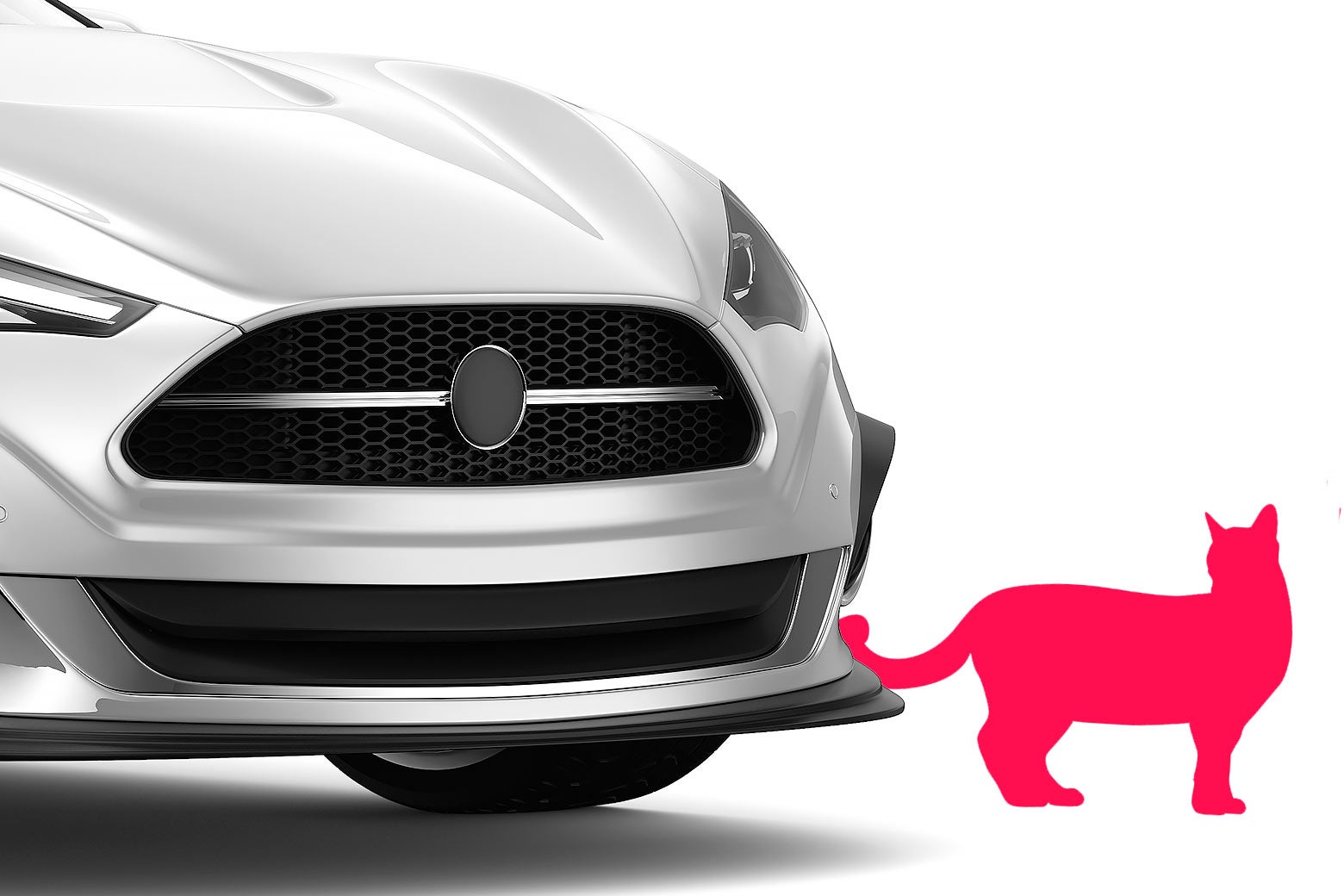 Help! My Neighbor's Kid Did Something Horrific to My Cat. Now They Expect Me to Do the Impossible.