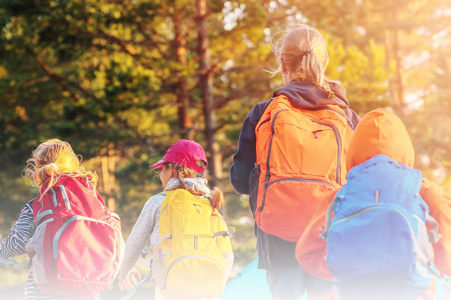 States Across the Country Are Rushing to Ban It. But a Shocking, Little-Known Success Story Shows There's a Better Way.