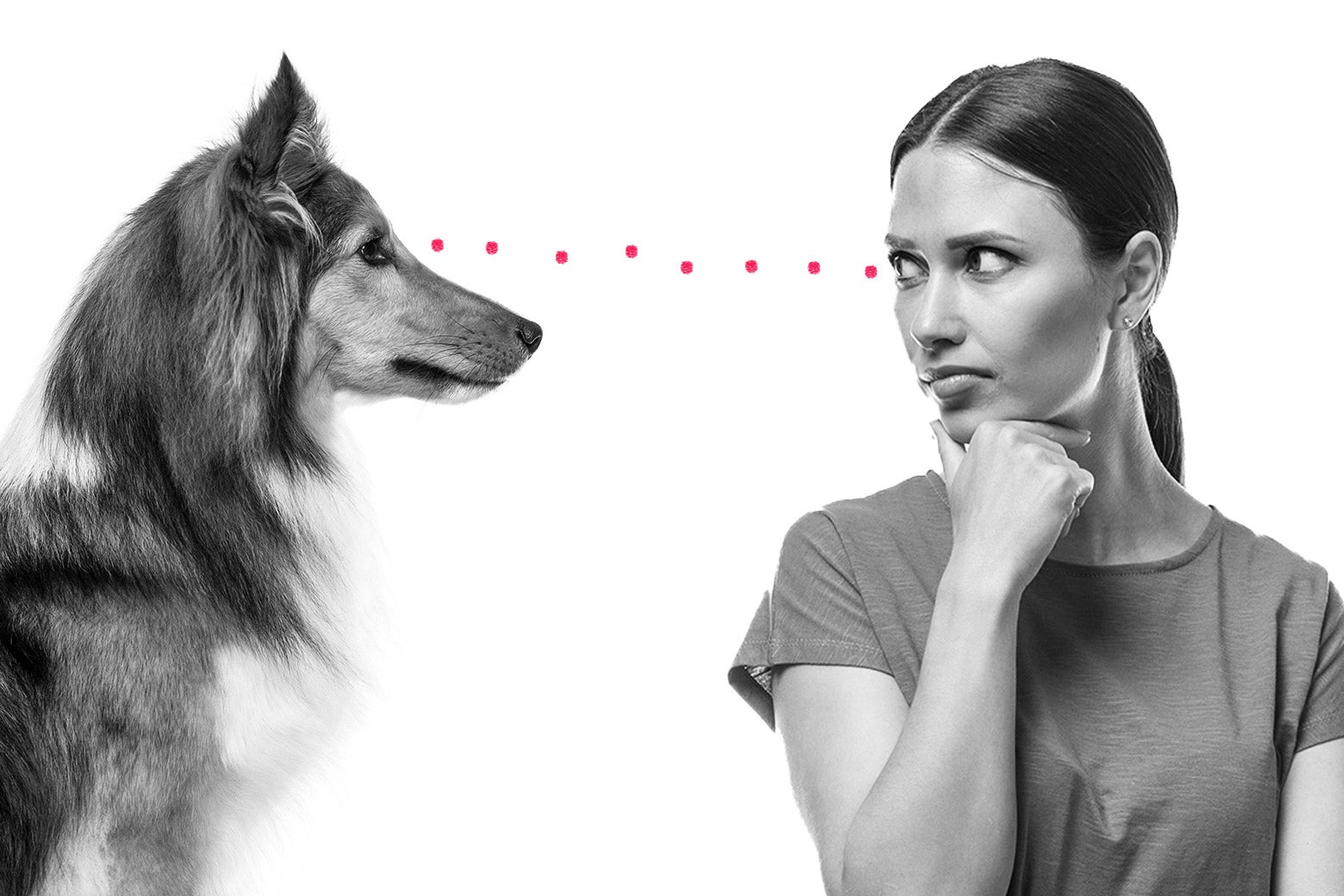 Dear Prudence: I told my partner I didn't want another dog. He brought home a terrifying one anyway. - Vimarsana News