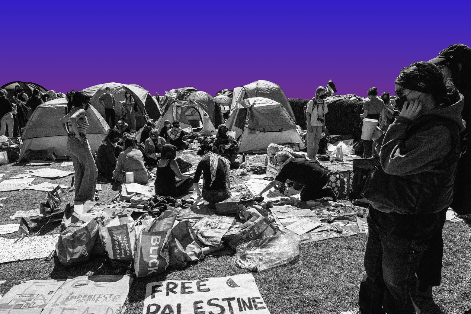 Columbia Calls the Cops