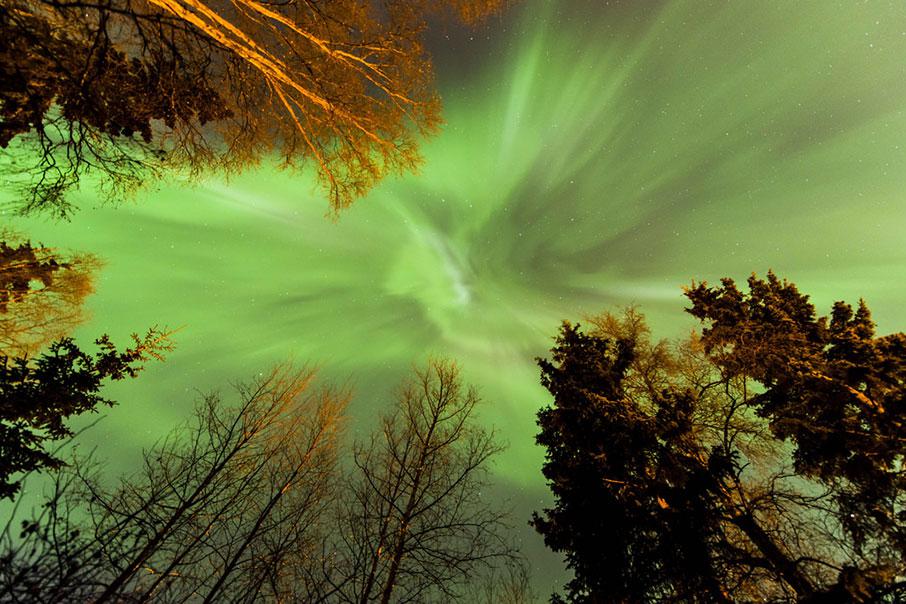 Aurora over Anchorage