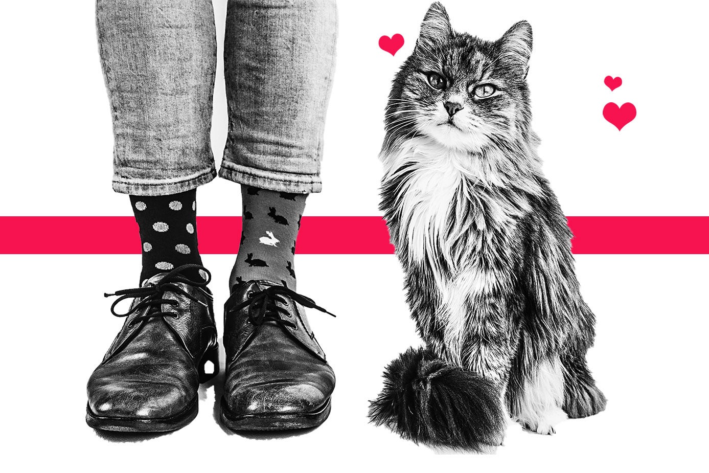 My boyfriend’s cat is ruining my life, in this week’s We’re Prudence.
