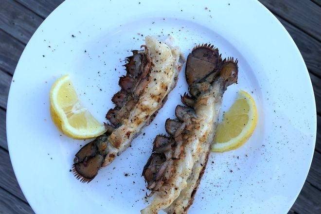 Broiled lobster tails on a plate with lemon wedges and salt and pepper.