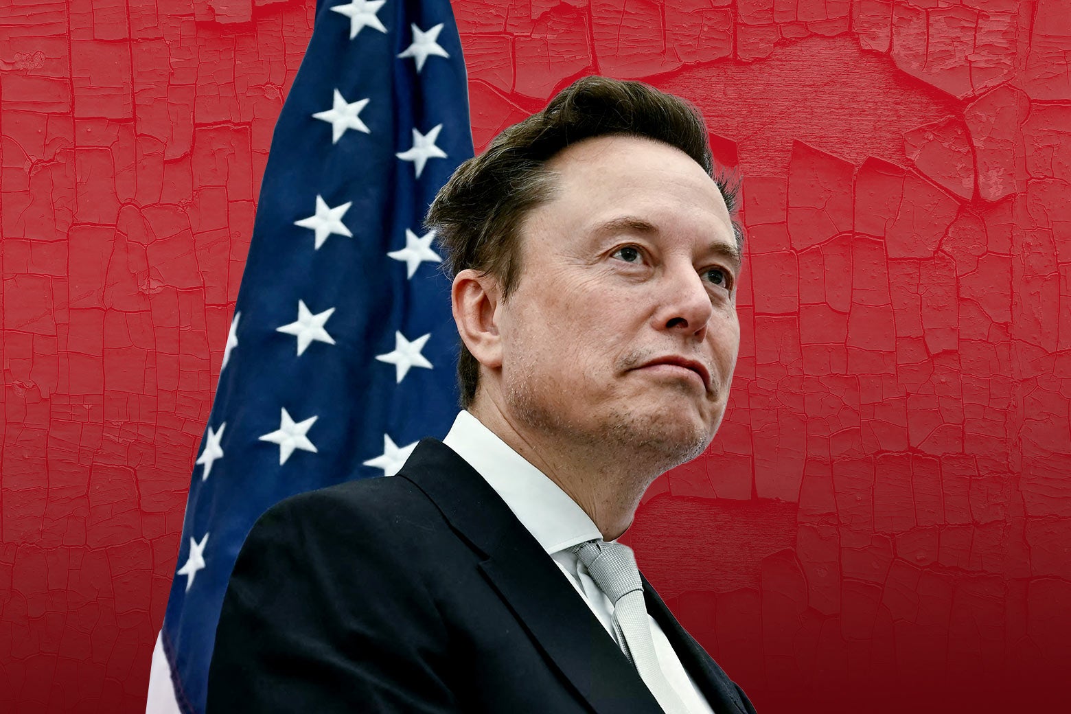 Elon Musk&rsquo;s Future May Depend on the Midterms