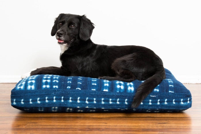 dog on an indigo-dyed bed.