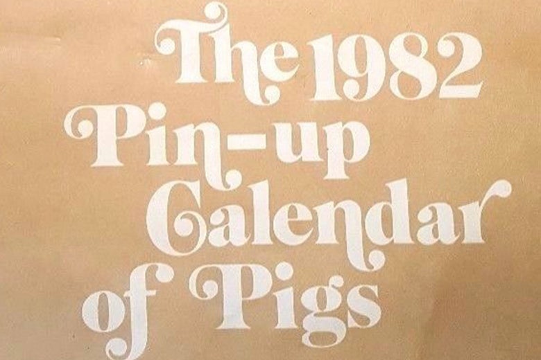 The cover of the Pin-Up Calendar of Pigs