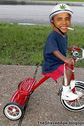 Obama Meme