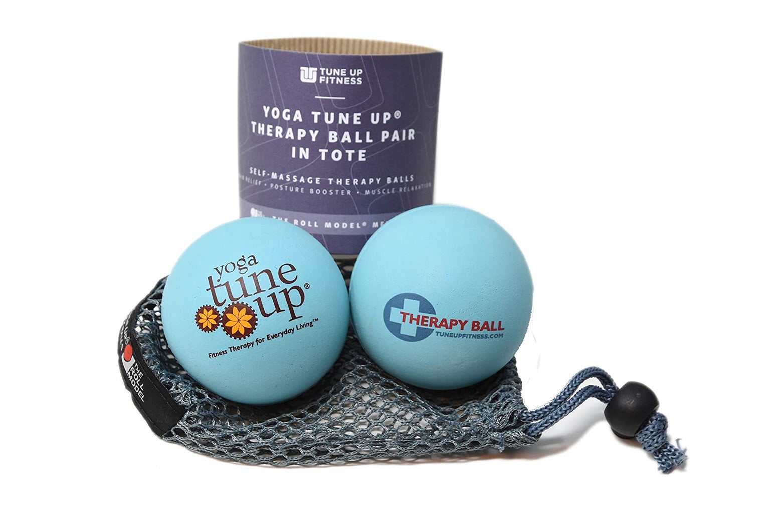 Therapy balls with carrying case