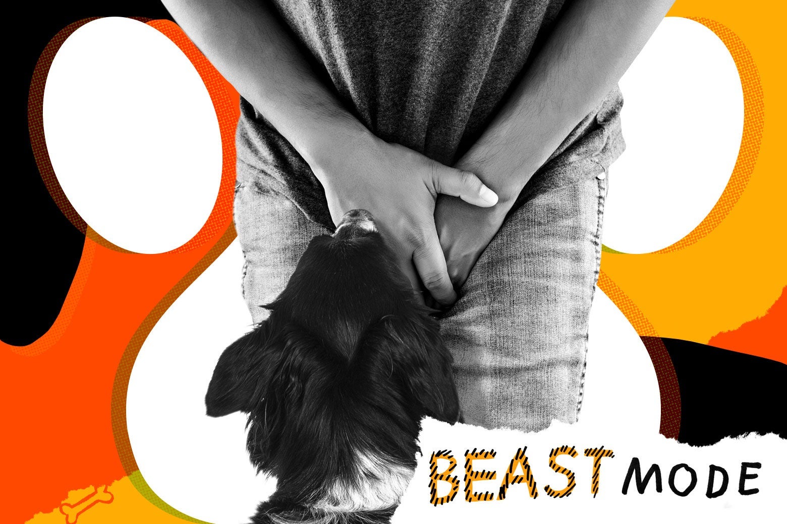 My Dog Shoves His Head Between Men S Legs Pet Advice From Beast Mode
