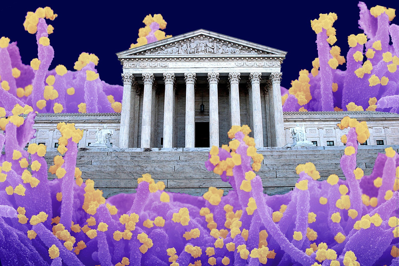 The Supreme Court building with illustrations of virus particles surrounding it.