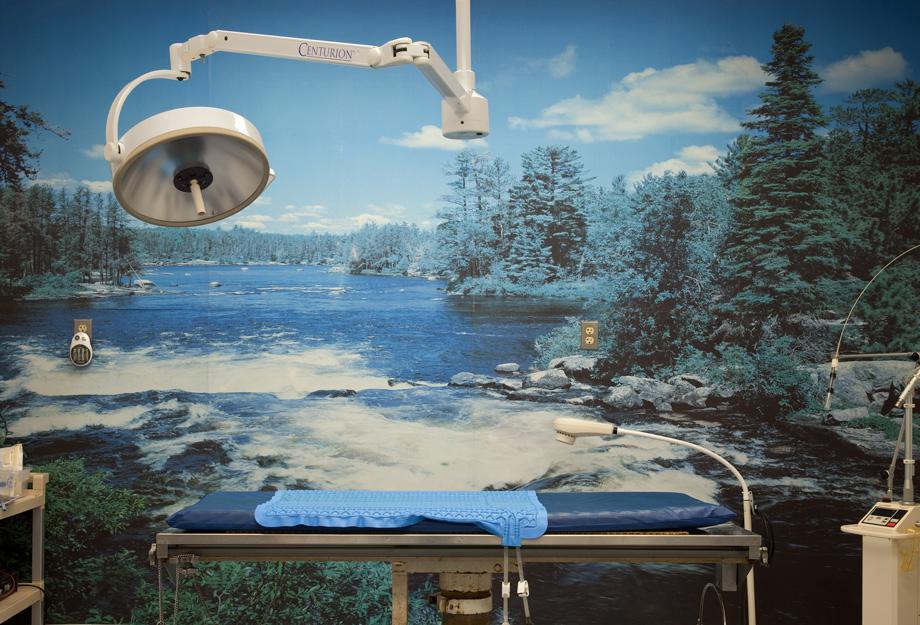 Flannery Animal Hospital, Operating Room, 2009