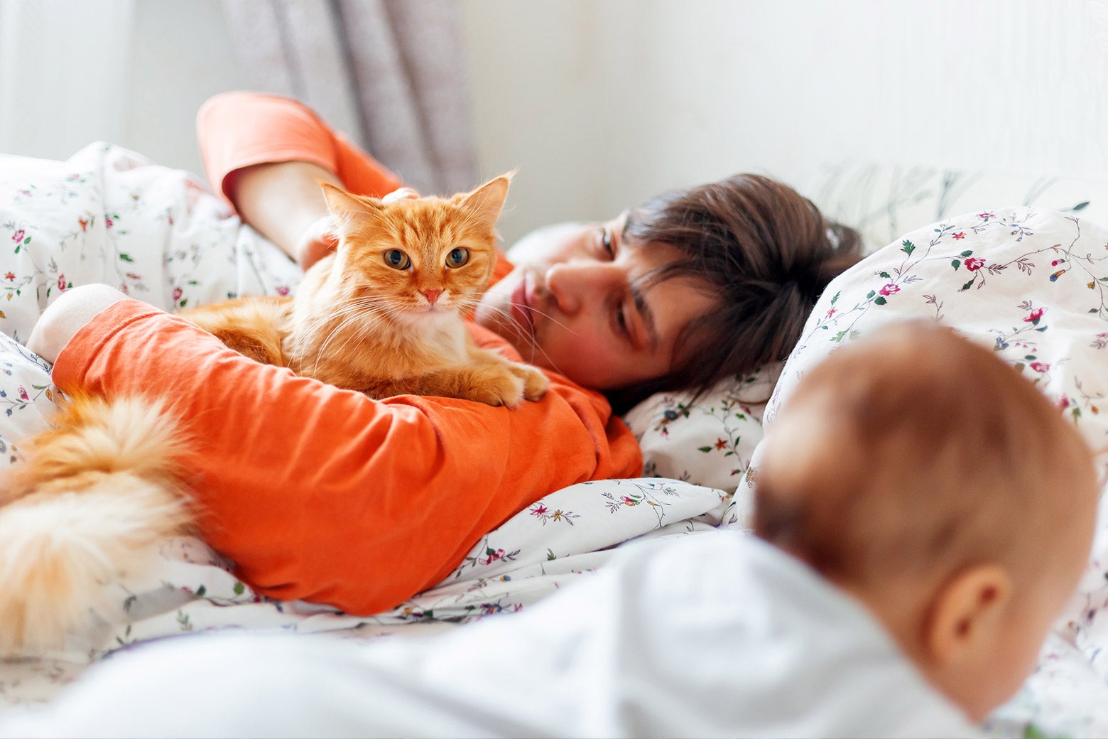 Cats and dogs: It’s obvious what should happen with pets once your kids are born.