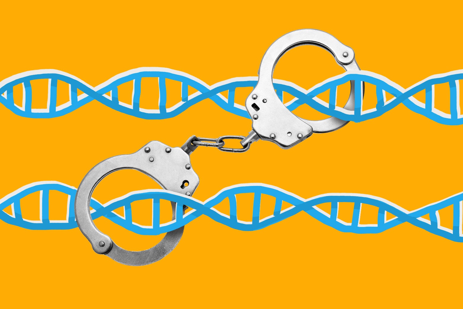 DNA in police handcuffs.