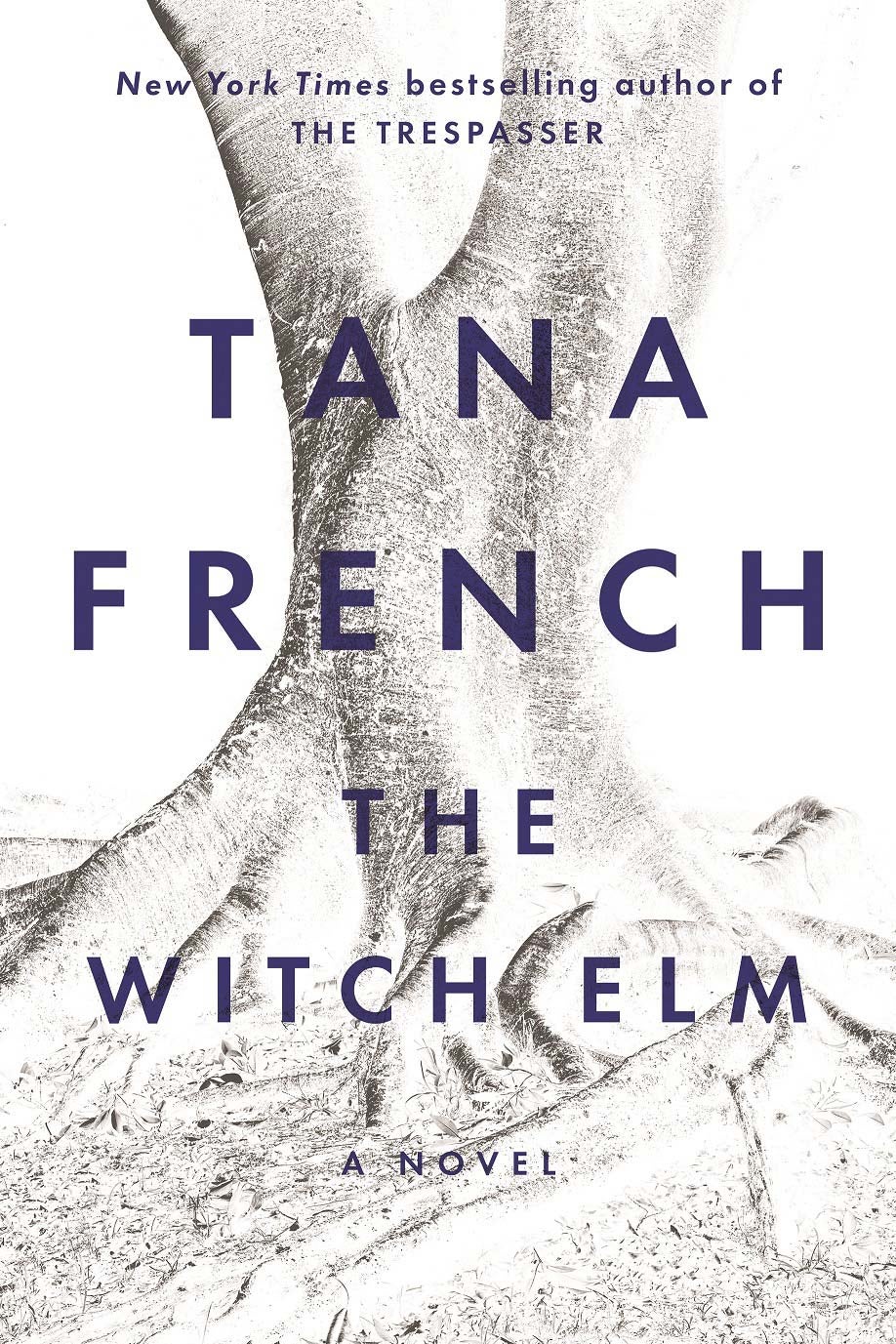 The Witch Elm book cover.