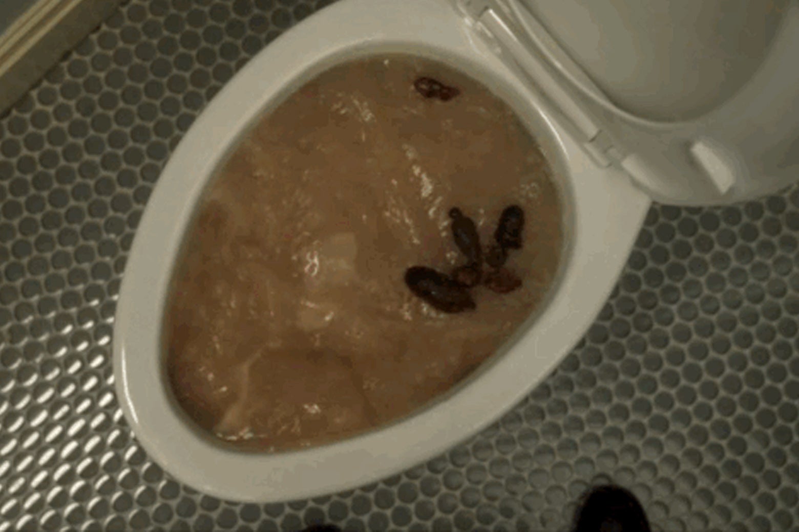 Una captura de pantalla del bruto Poughkeepsie.