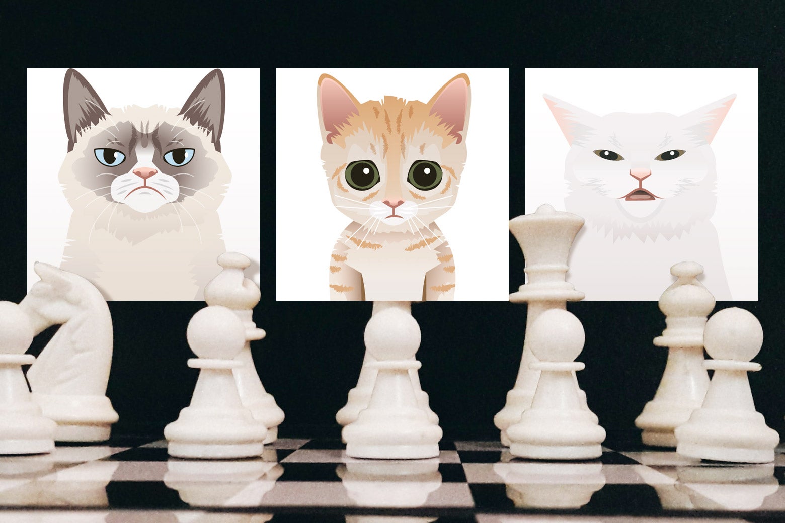 Three cat avatars above a chess set.