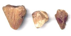 shatter cones?