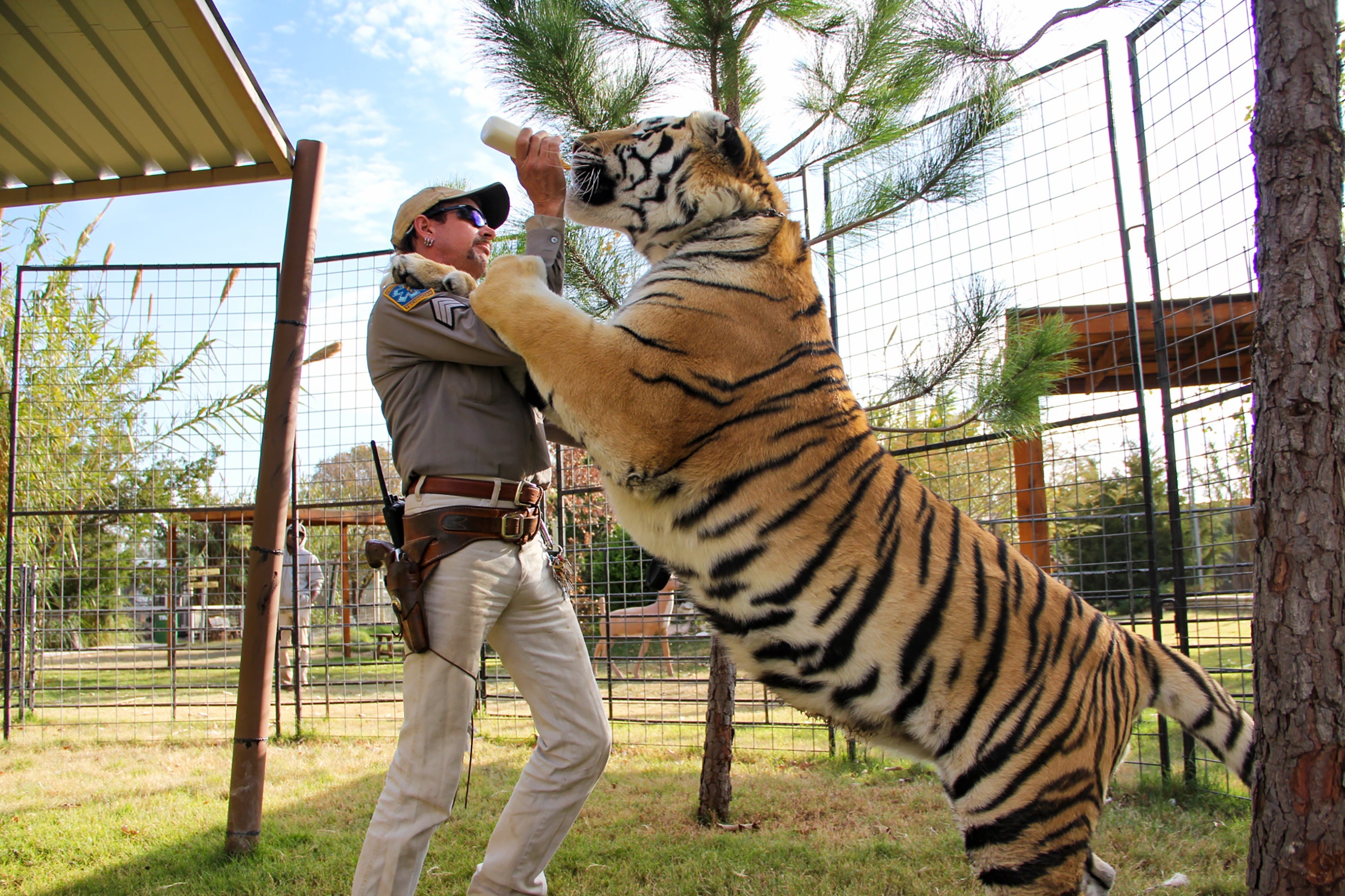 Tiger King and I: Netflix's new special almost offers a corrective to the documentary series. Tiger King and I: Netflix's new special almost offers a corrective to the documentary series.