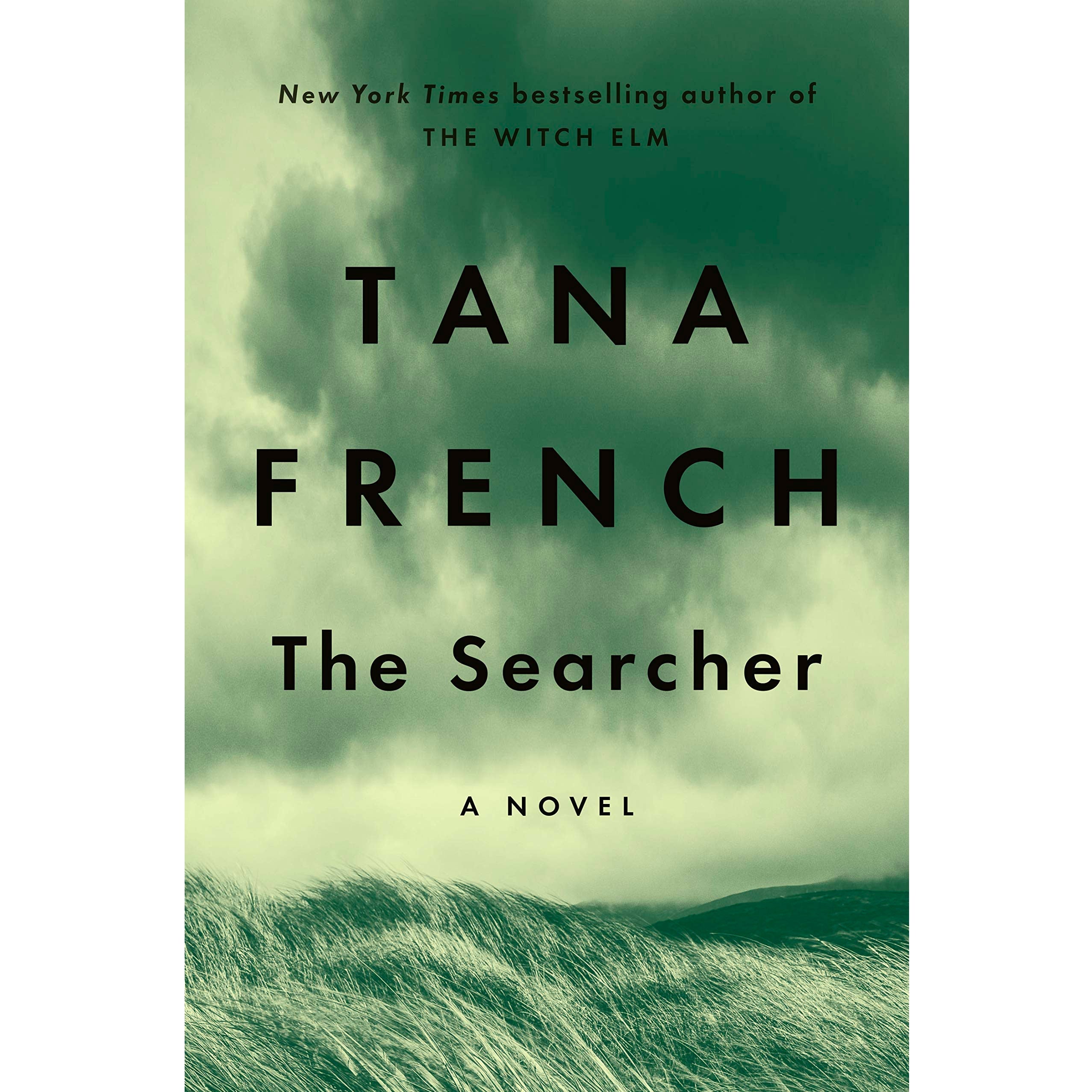 Book cover of The Searcher: A Novel.