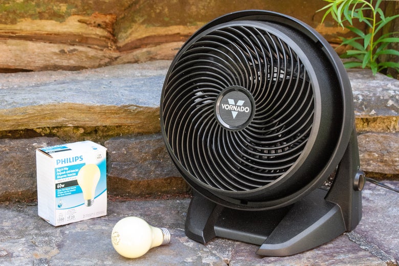 A bug bulb and a fan