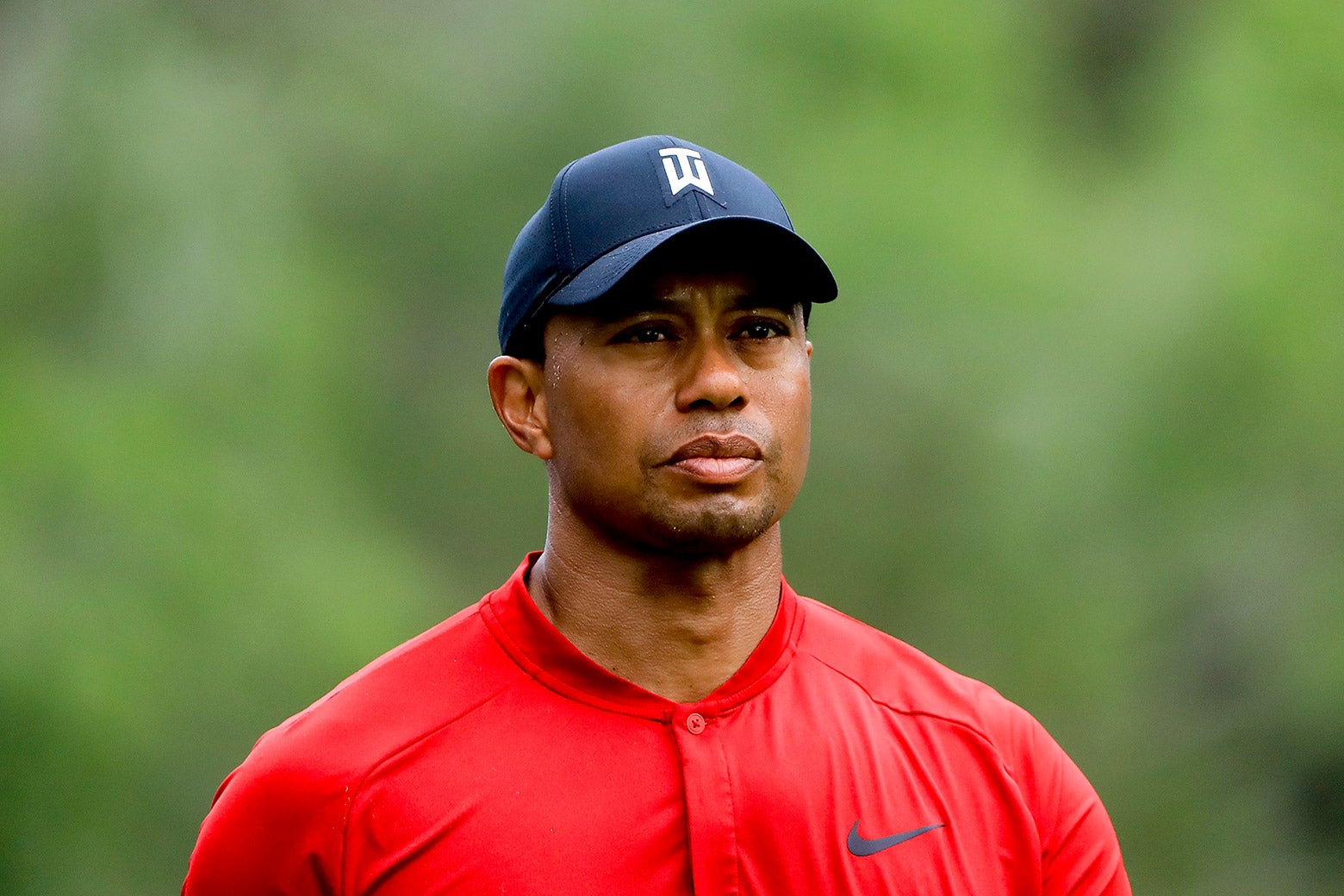 Tiger Woods looks on on the 14th hole during the final round of the Valspar Championship at Innisbrook Resort Copperhead Course on March 11 in Palm Harbor, Florida.