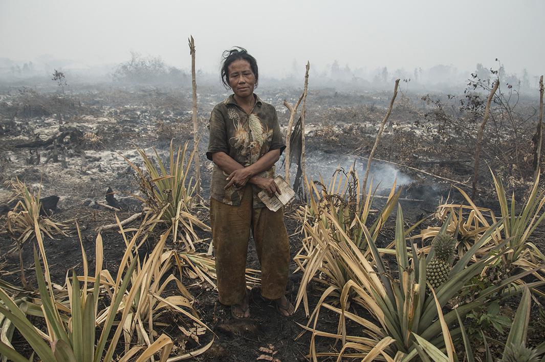 indonesia fire photos.