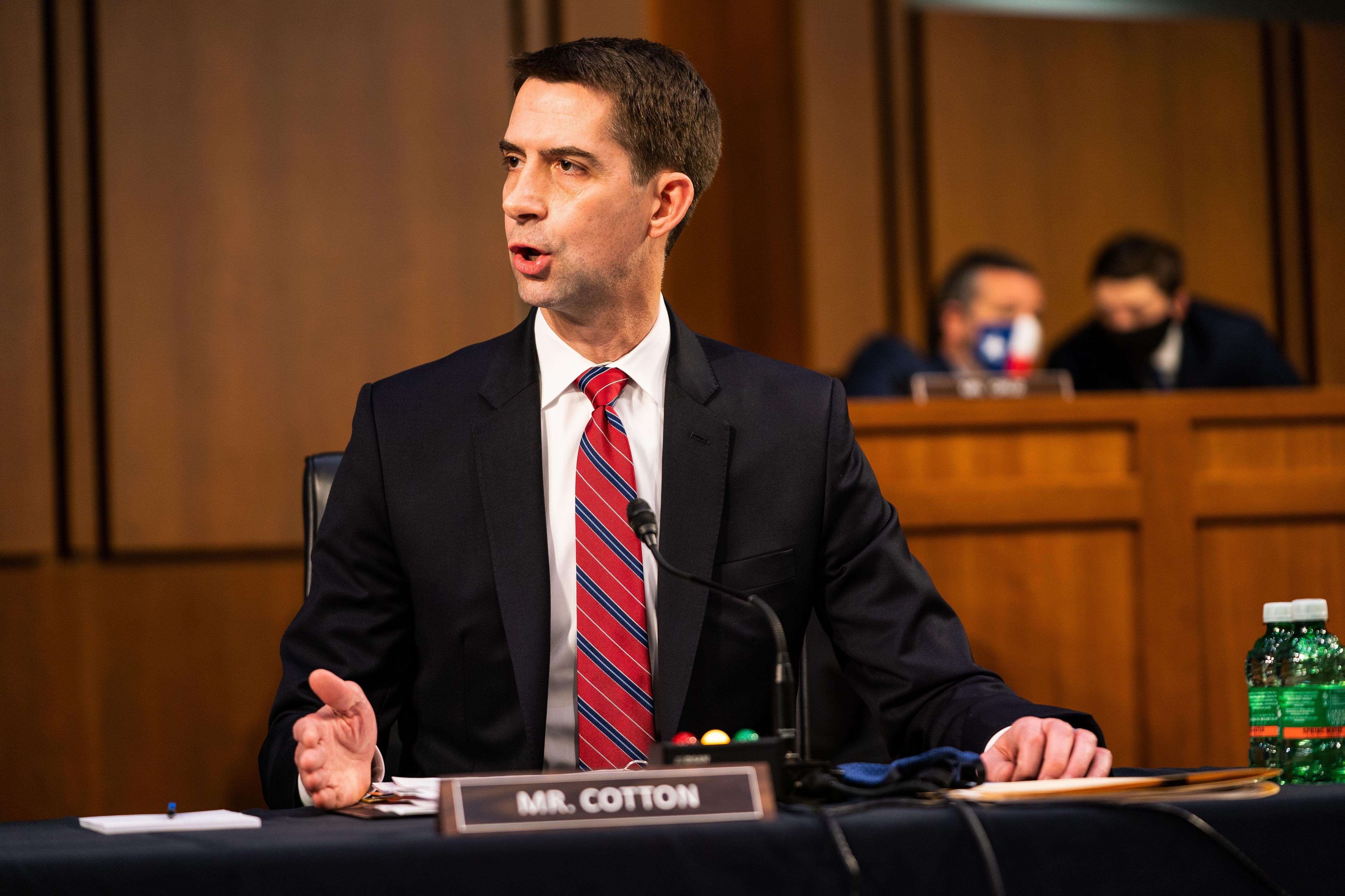 Tom Cotton speaks and gestures.