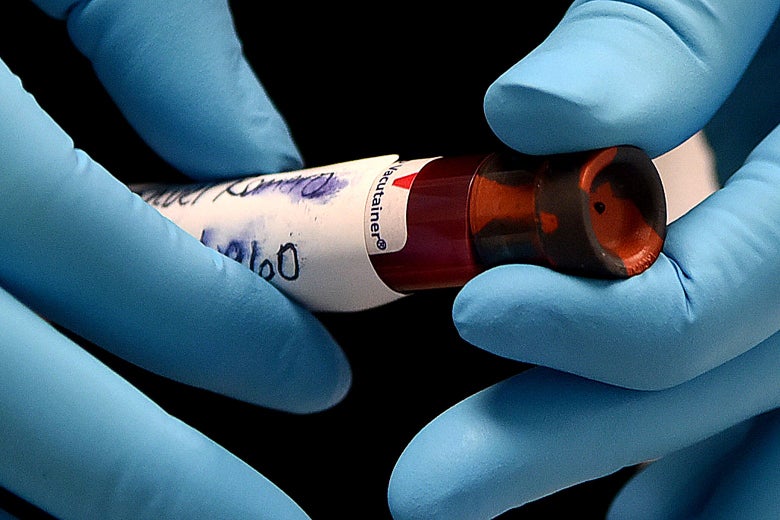 A health worker handles a blood sample on the first day of a free COVID-19 antibody testing event at the Volusia County Fairgrounds in DeLand, Florida on Monday.