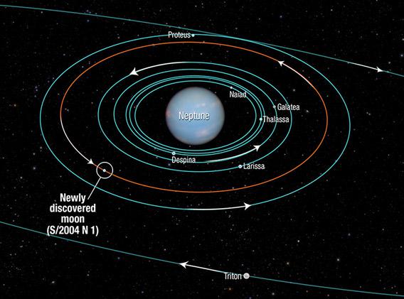 orbits of Neptune's moons