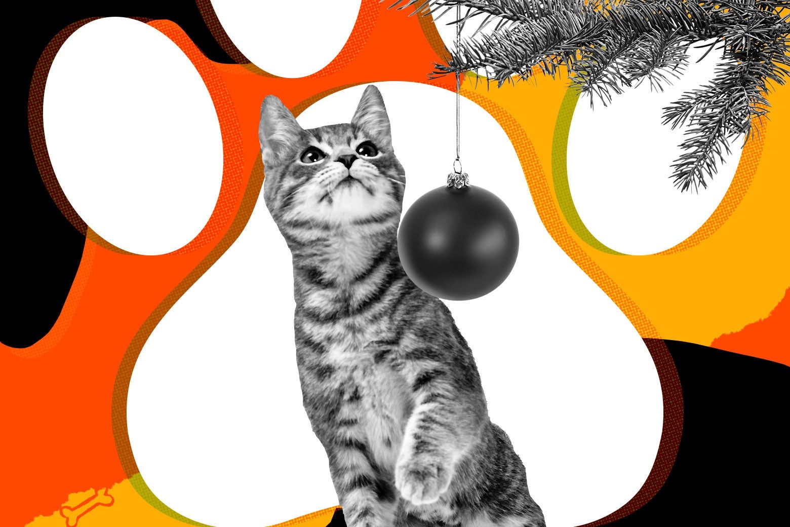 Cat meowing at Christmas tree