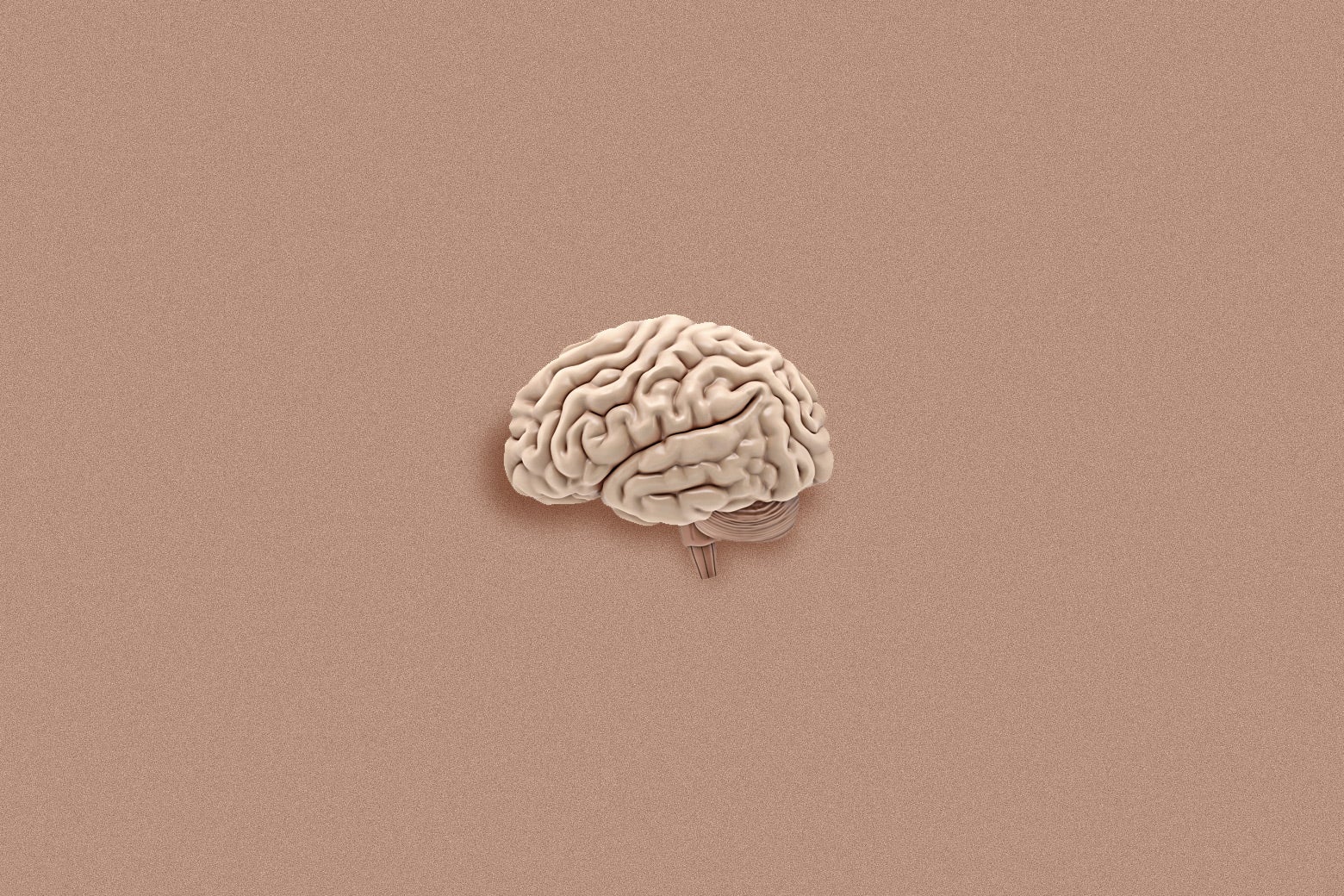 A brain against a pink background. 