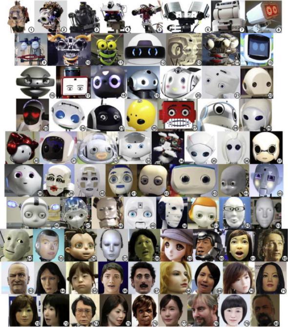 Wild-type robot face stimuli numbered and displayed in ascending