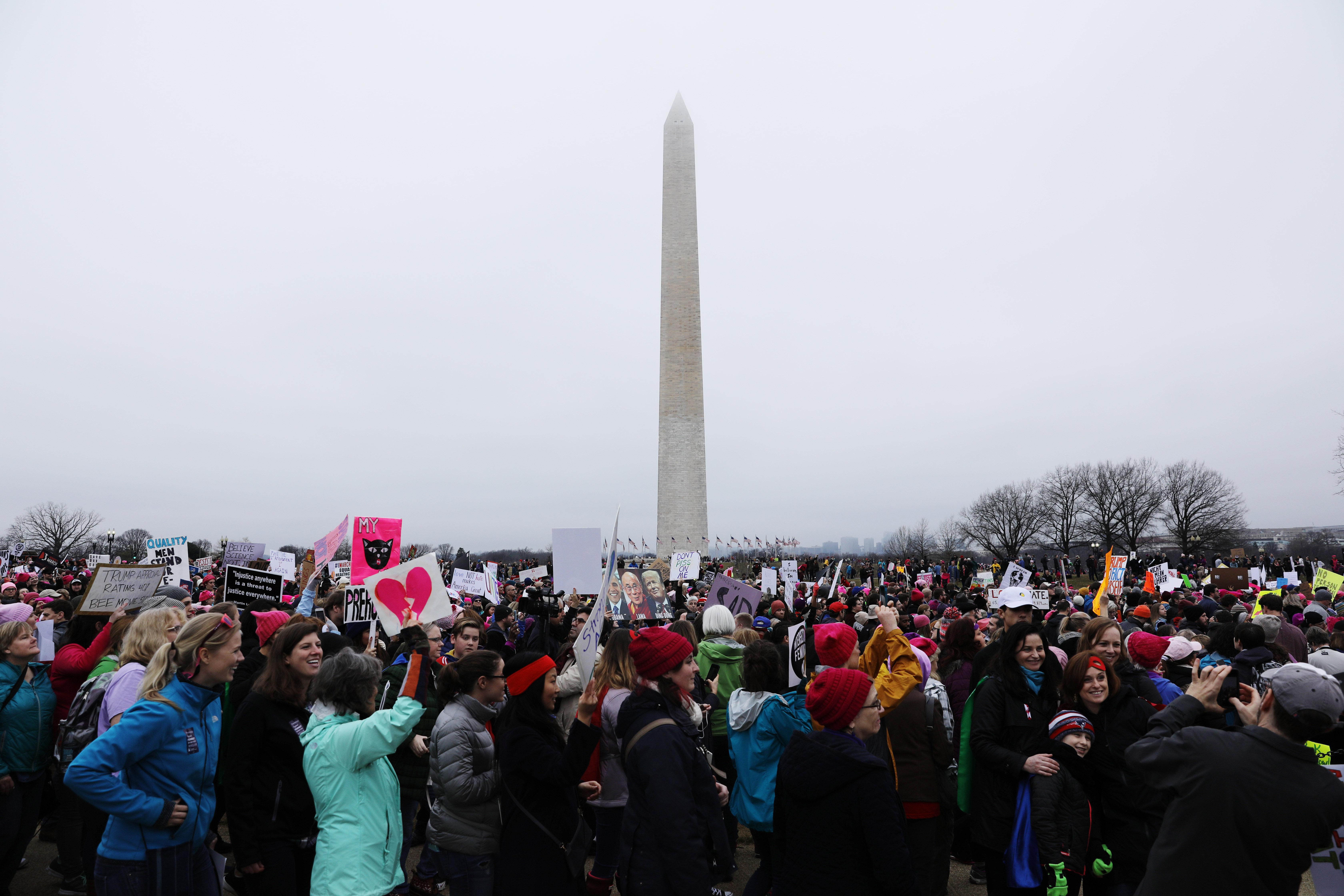 A crowd of protesters in front of the Washington Monument at the Women's March on January 21, 2017.