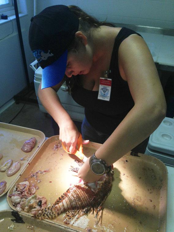 Christie Wilcox cutting open a lionfish to remove its stomach.
