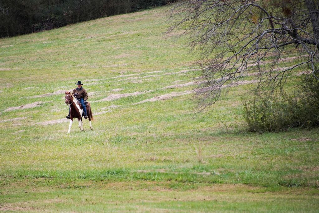 Roy Moore rides his horse "Sassy" to a polling station in Gallant, Alabama on Tuesday.