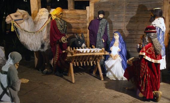 A traditional religious Nativity scene in front of the Roman Catholic Cathedral of Vilnius.