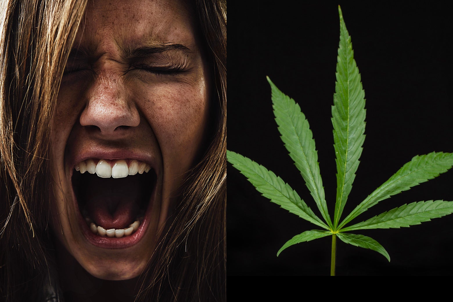 The Weed Dictionary: Stoners' Slang Explained