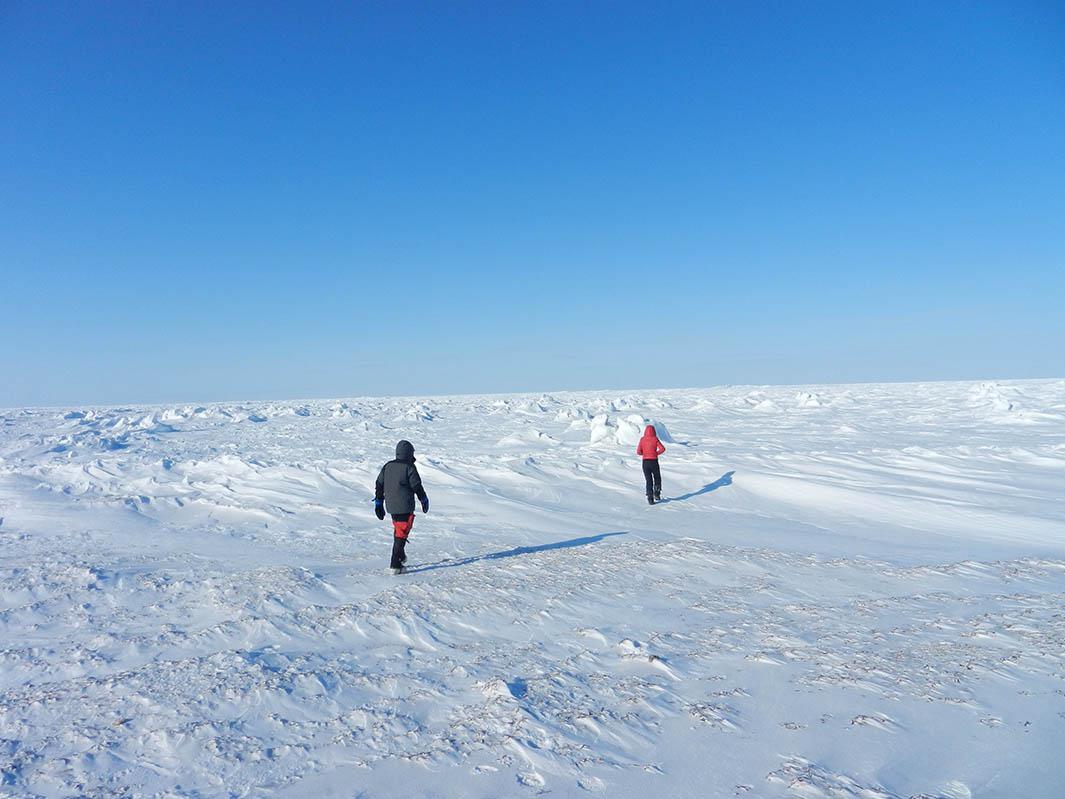 Dark patches on the snow are visible when you walk out onto a frozen Hudson Bay.                 