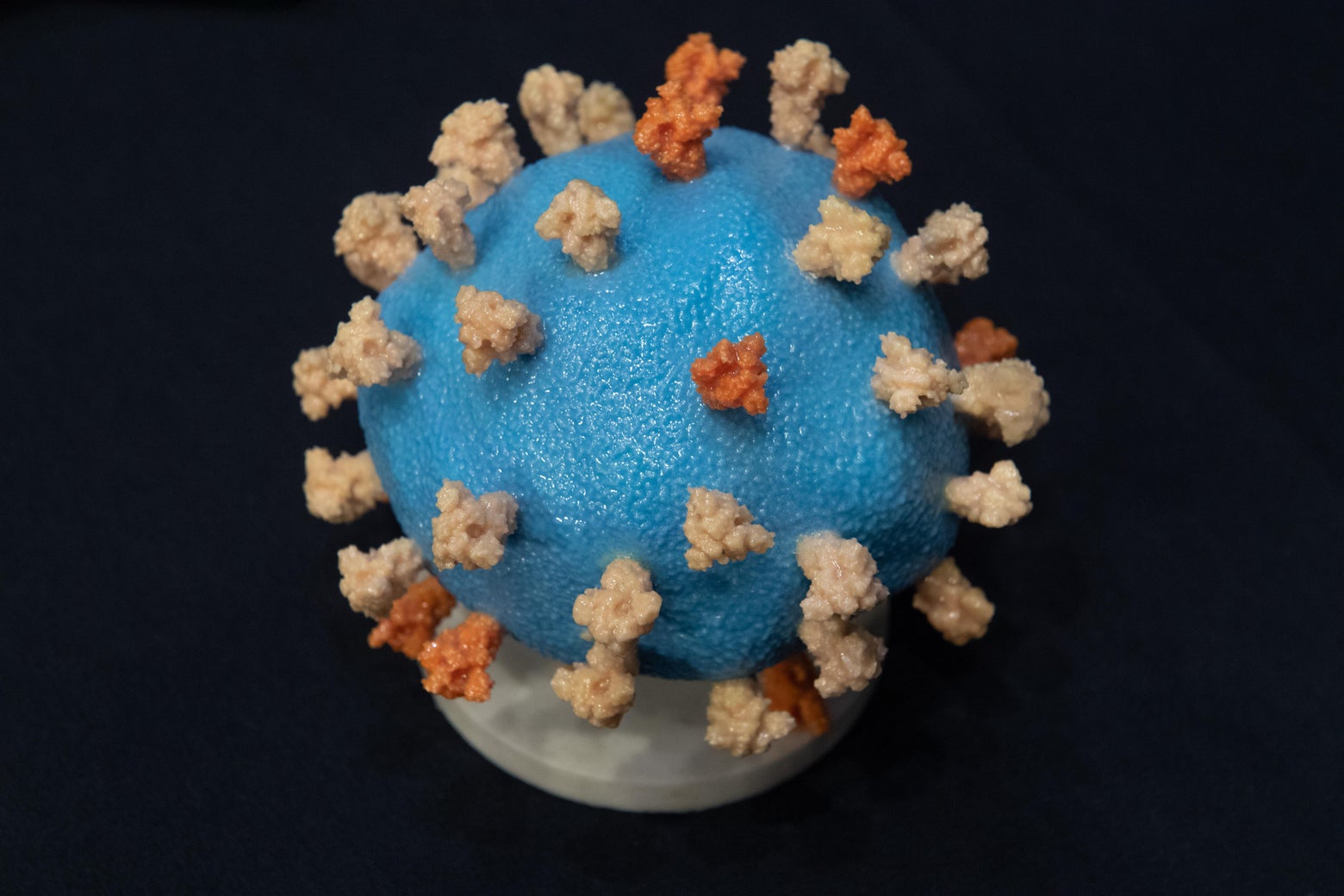 How concerned should you be about the latest COVID wave?