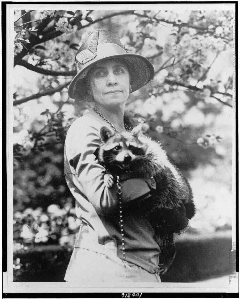 Grace Coolidge and her pet raccoon 