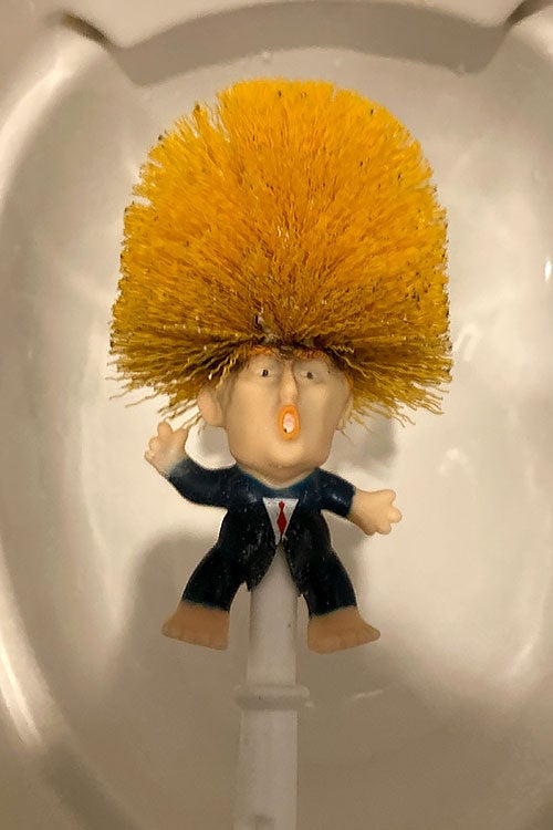 A Donald Trump toilet brush with the bristles as his hair.