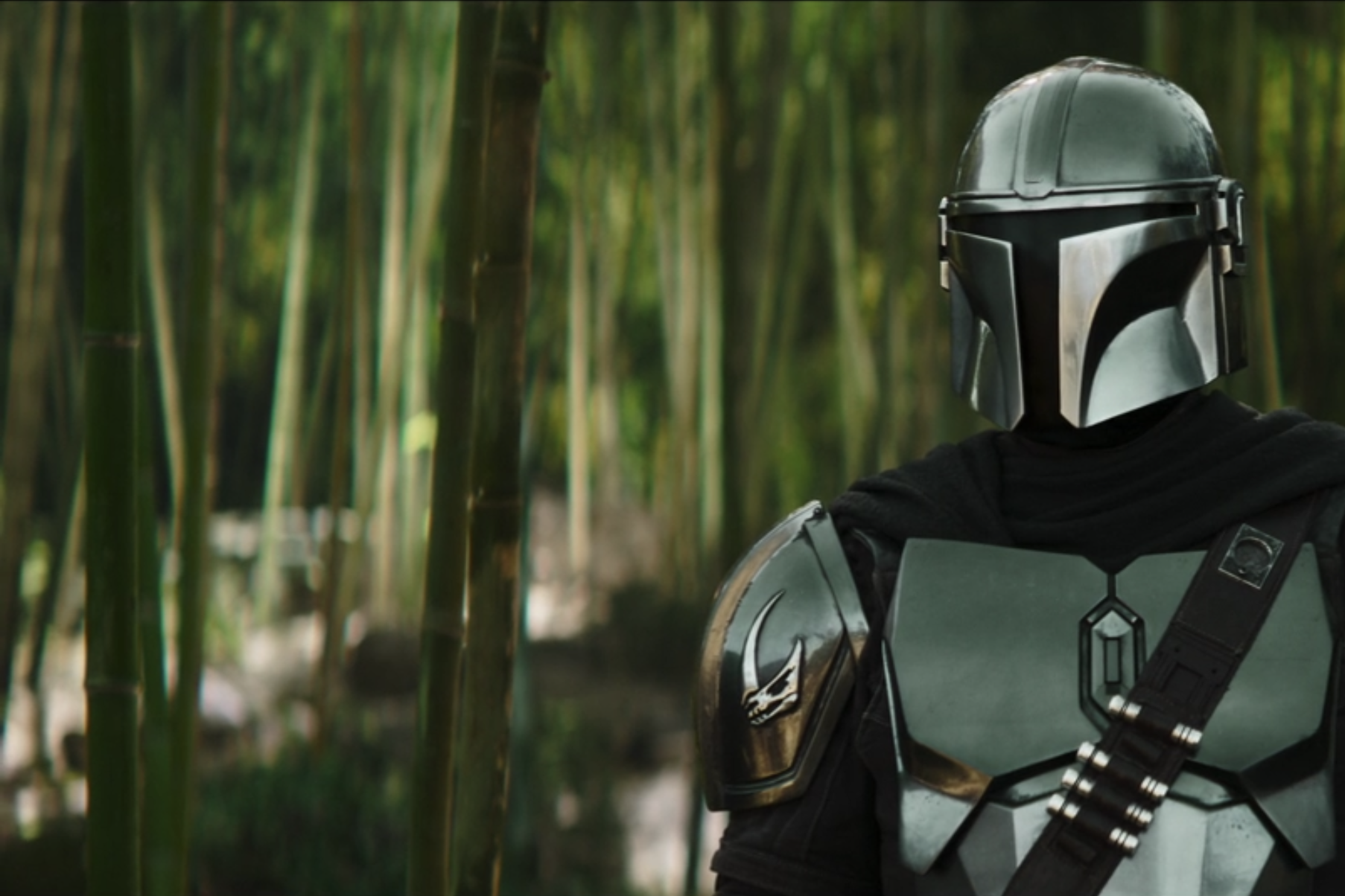 A man in a blue-gray suit of armor stands among bamboo.