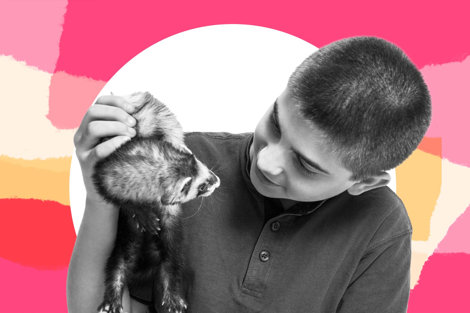 Boy holding a ferret.
