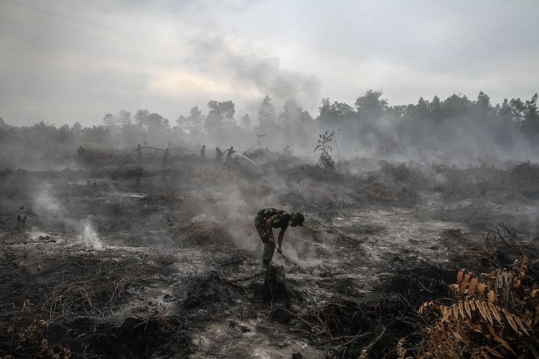 Indonesia’s Fires: An Environmental Catastrophe And A Climate Change ...